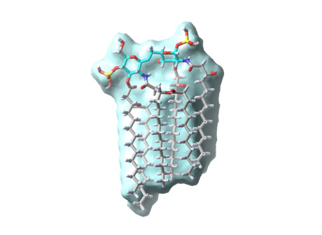 Bacterial glycolipid Lipid A